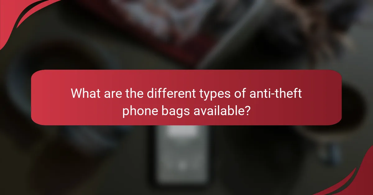 What are the different types of anti-theft phone bags available?