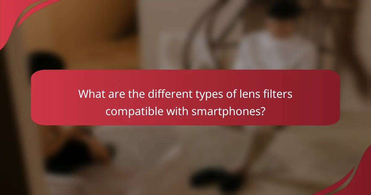 What are the different types of lens filters compatible with smartphones?
